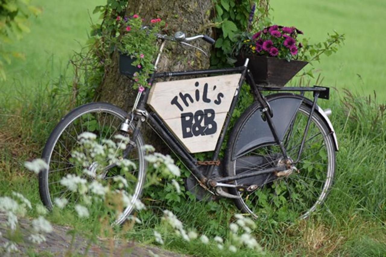 Thil'S Bed And Breakfast Ambt Delden Exterior photo